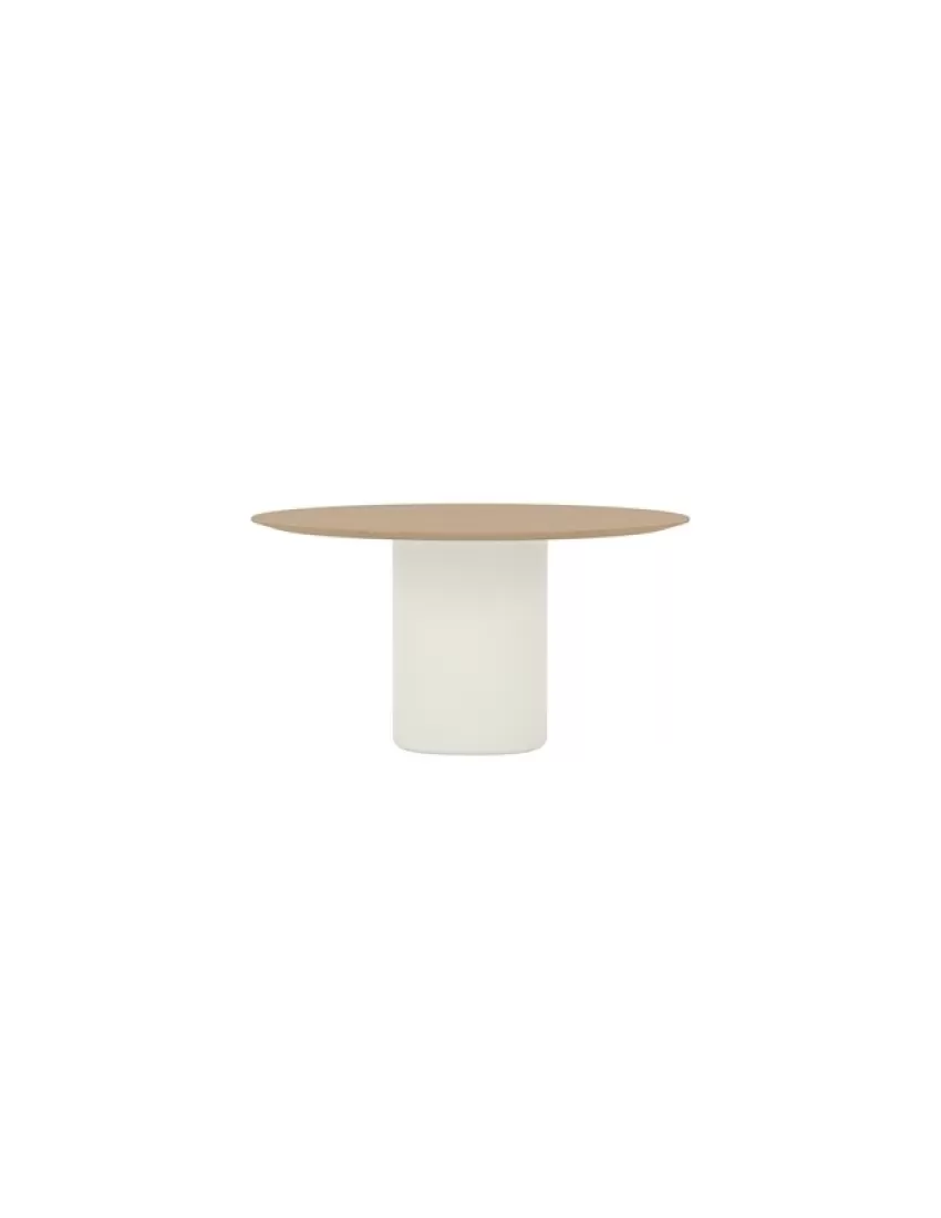 Solid Conference Table SO4 Andreu World