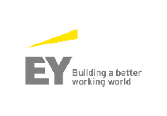 Ernst & Young phase  Logo | EuropaDesign,Ernst & Young ,Referencia